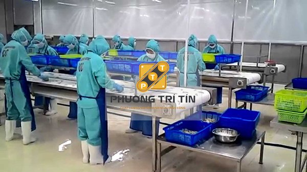 băng tải chế biến thủy hải sản băng tải chế biến thủy hải sản